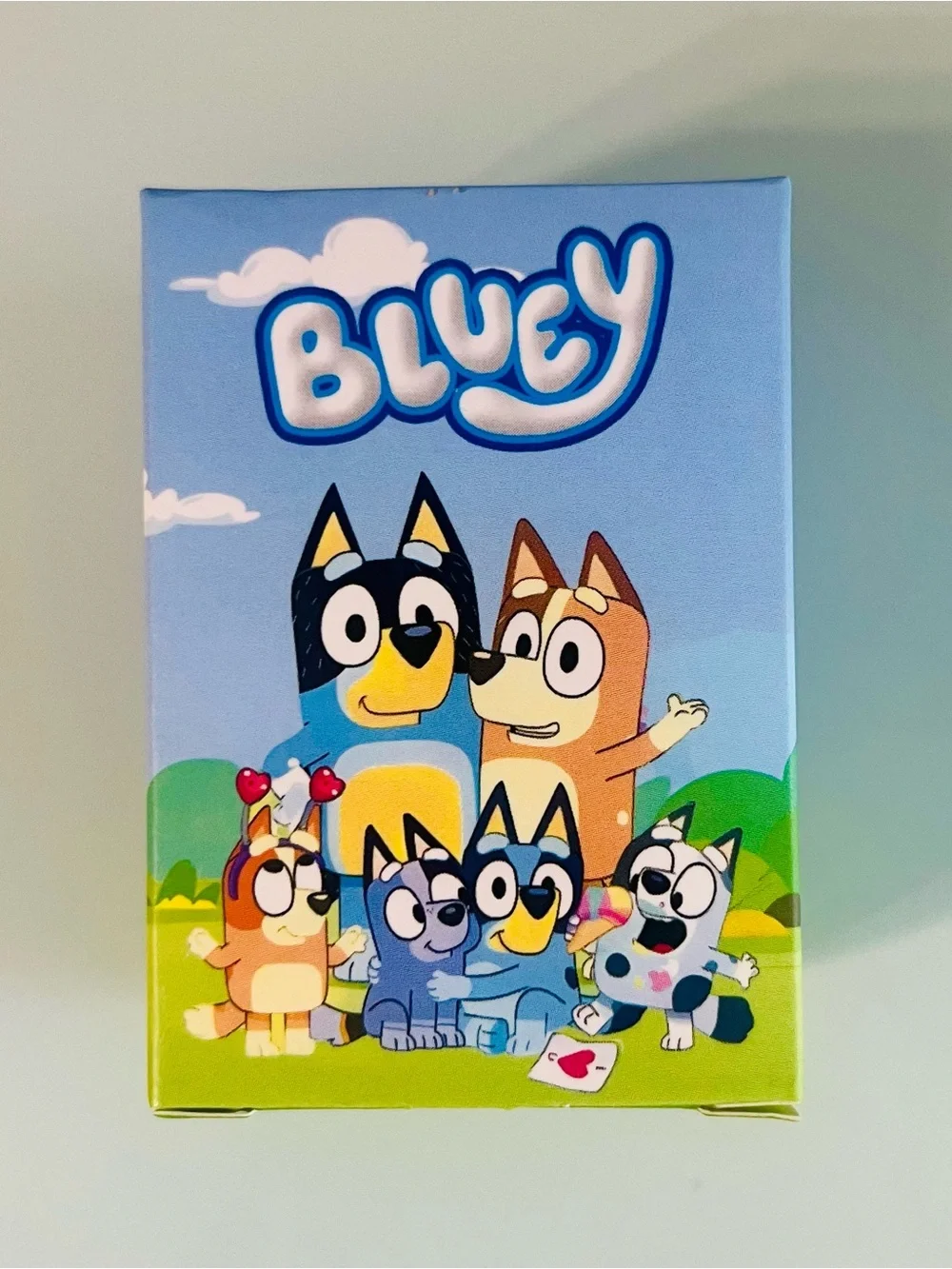 Surprise Bluey Keychain Box